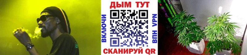 Магазины продажи наркотиков Дзержинский Конопля Псилоцибиновые грибы ГАШИШ APVP НБОМе Амфетамин
