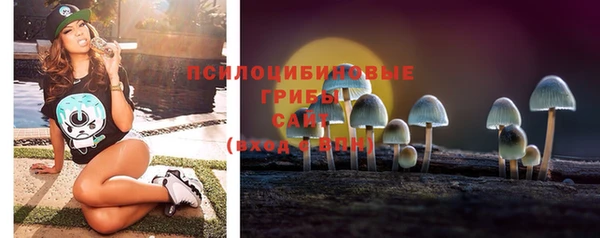 твердый Покровск