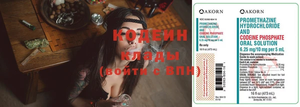 стаф Мурманск