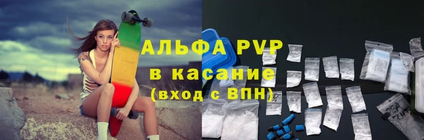 стаф Мурманск