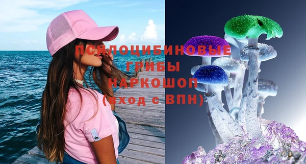 твердый Покровск