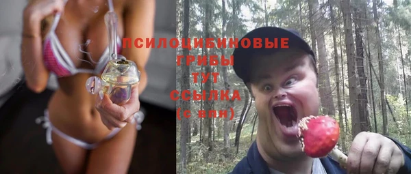 твердый Покровск
