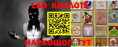 гидра Берёзовский