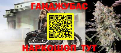 шишки Волгодонск