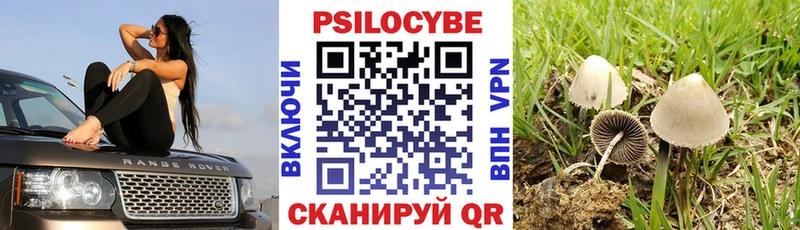 Галлюциногенные грибы Cubensis  хочу   Дзержинский 