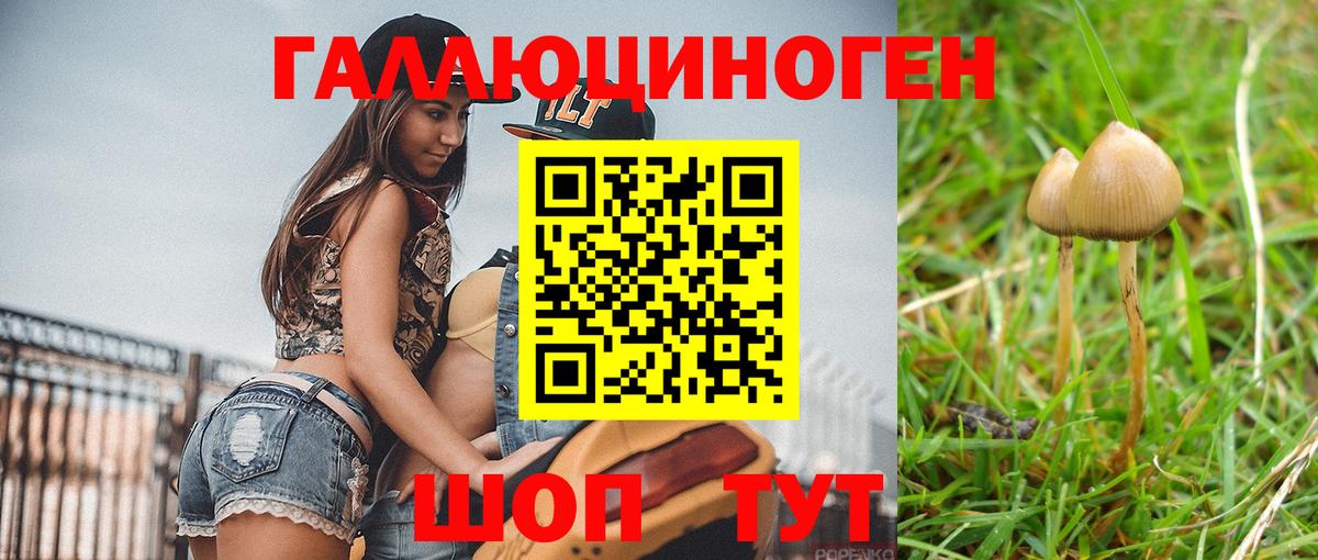 Галлюциногенные грибы MAGIC MUSHROOMS  Вход с VPN  Дзержинский 