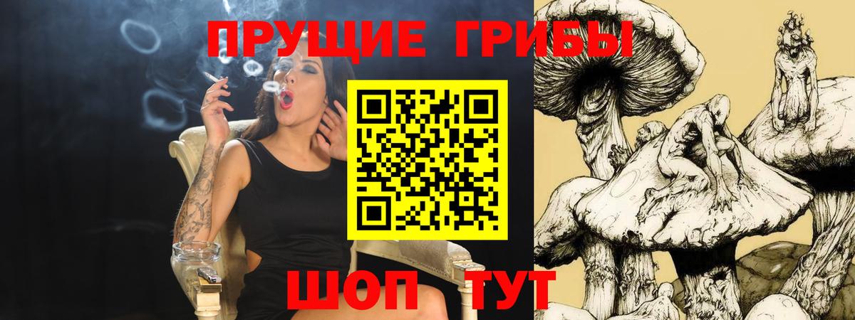 Галлюциногенные грибы мухоморы Дзержинский
