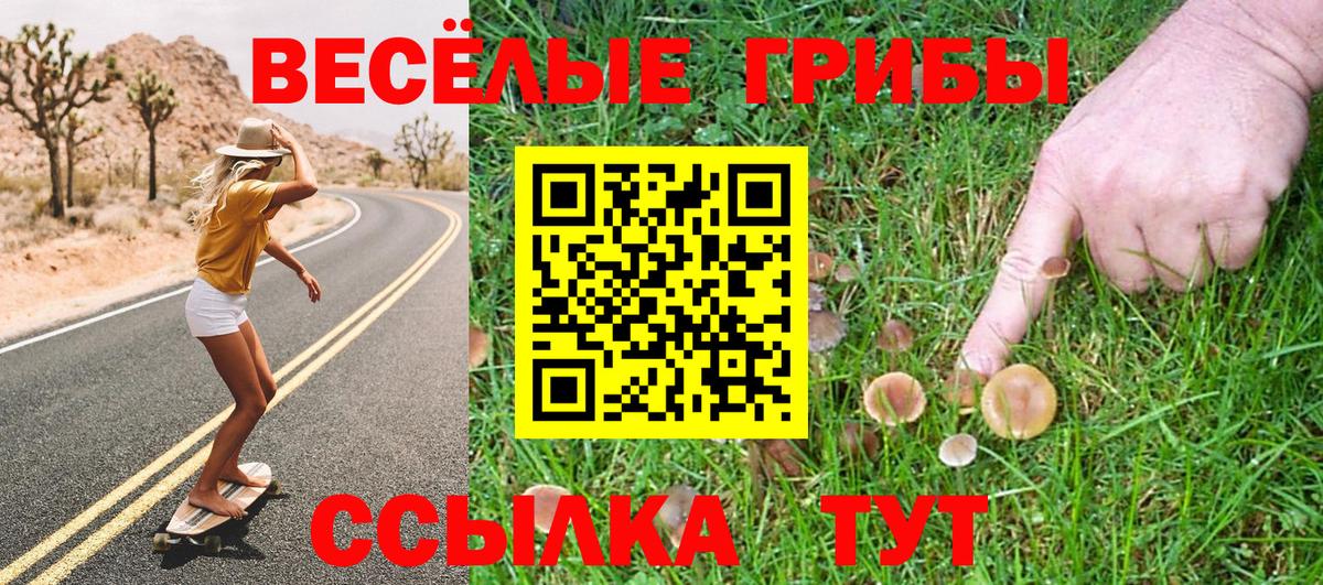 цена   Дзержинский  Галлюциногенные грибы прущие грибы  Псилоцибиновые грибы Psilocybine cubensis 